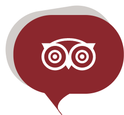 tripadvisor icon